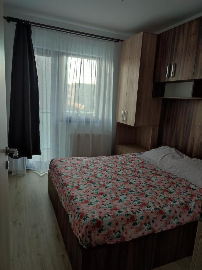 شقة Marina'S House Ghimbav المظهر الخارجي الصورة